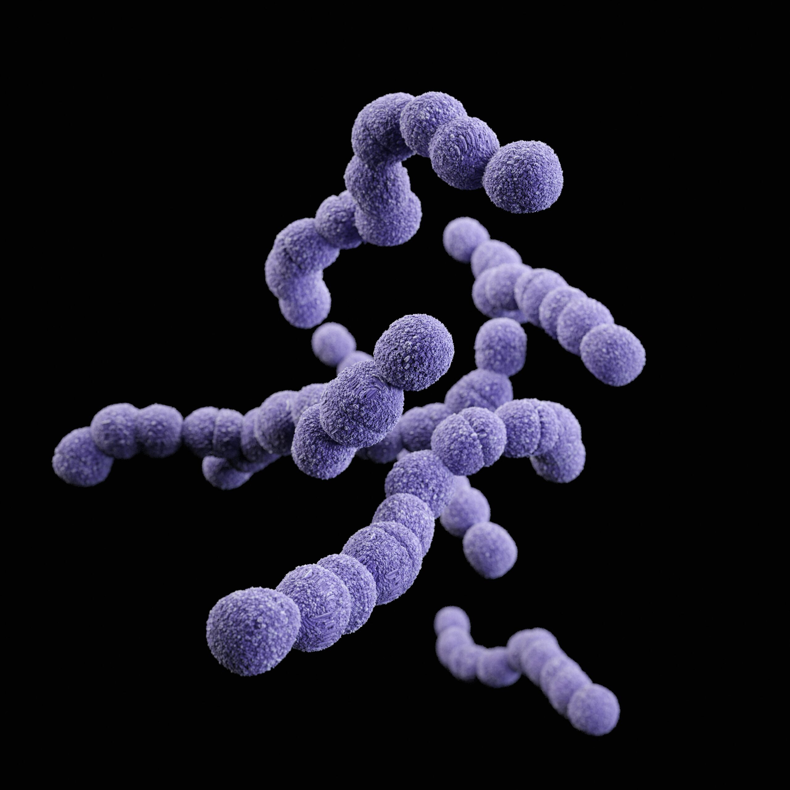 Three-dimensional (3D) computer-generated illustration inspired by Lactobacillus Reuteri bacteria, depicting a stylized interpretation of its characteristics and features.