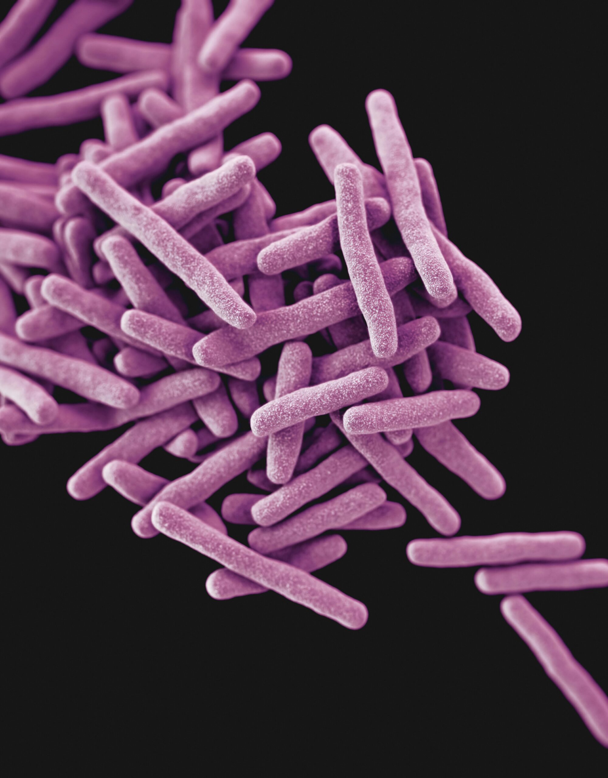 Three-dimensional (3D) computer-generated illustration inspired by B.lactis BL-04® bacteria, depicting a stylized interpretation of its characteristics and features.