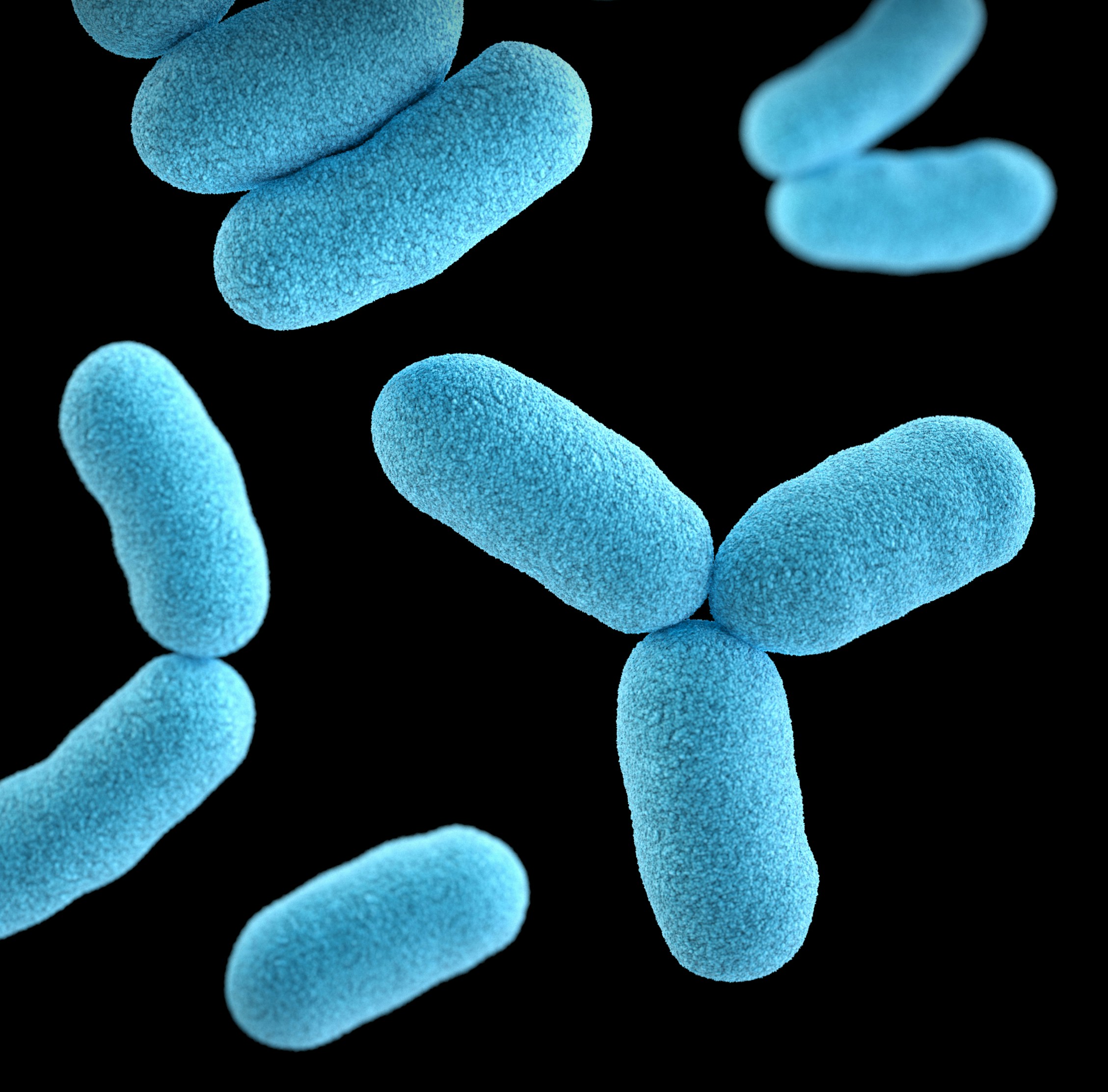 Three-dimensional (3D) computer-generated illustration inspired by Lactobacillus Paracasei bacteria, depicting a stylized interpretation of its characteristics and features.